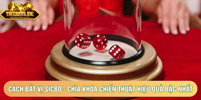 Cách Bắt Vị Sicbo - Chìa Khóa Chiến Thuật Hiệu Quả Bậc Nhất
